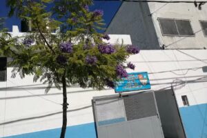 Escuela Secundaria Ees N36