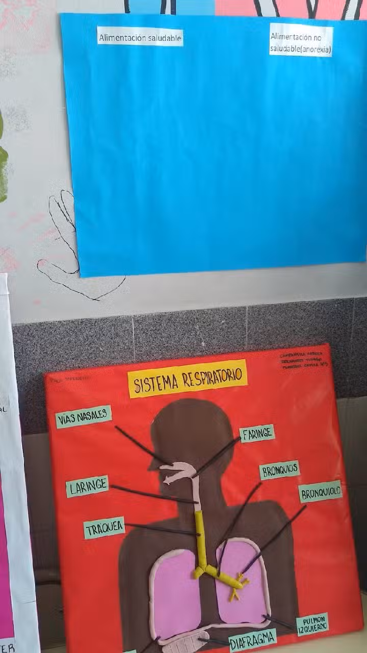 Escuela Secundaria Ees N 4