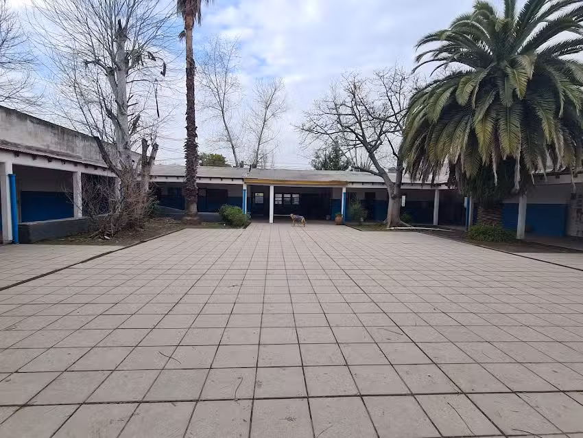 Escuela Secundaria Media N7