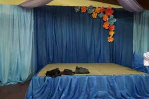 Escuela Secundaria N 14