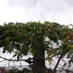 Escuela Secundaria N 4