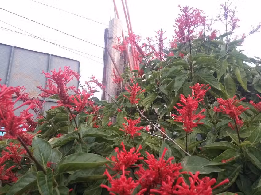 Escuela Secundaria N 45