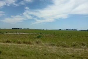 Escuela Secundaria N 5