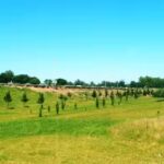 Escuela Secundaria N10