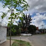 Escuela secundaria N19