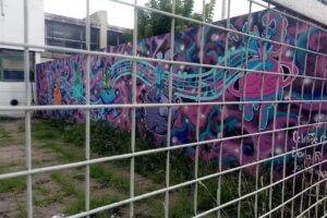 Escuela Secundaria N19