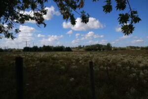 Escuela secundaria N8