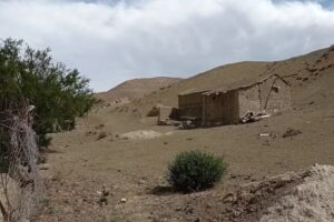 Escuela secundaria Nº51 San Miguel de los Colorados