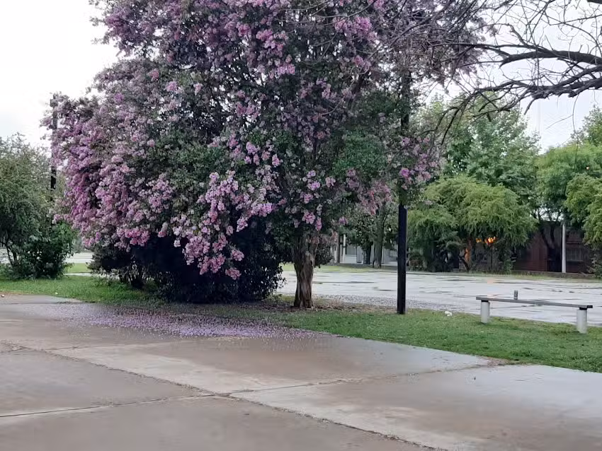 Escuela Secundaria Nº6