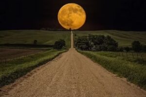 Escuela Secundaria Rosa Minguito N 46