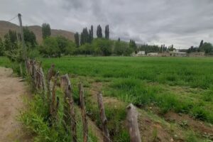 Escuela Secundaria Rural N20