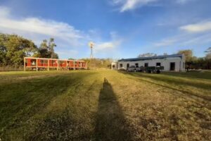 Escuela waldorf primaria Sol De Invierno