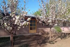 Escuela Waldorf Valle del Sol Nivel Inicial y Primario