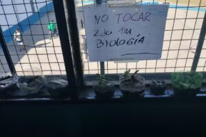 Escuelas secundaria 77