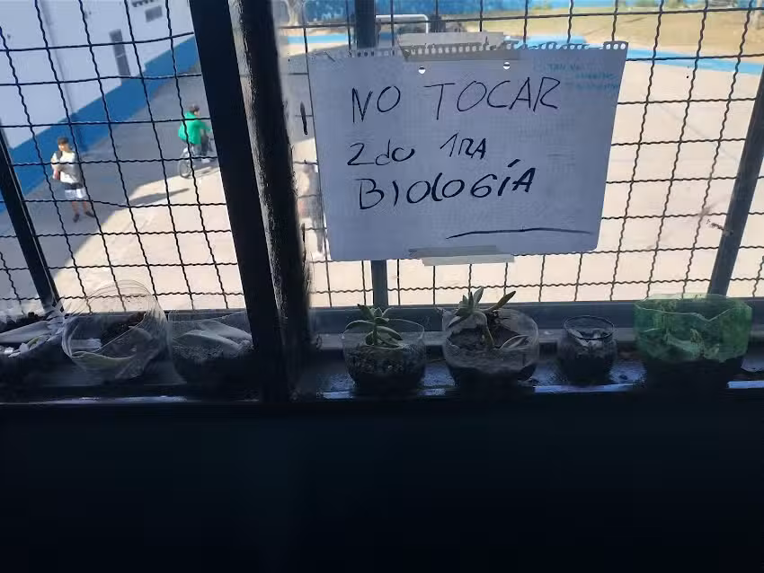 Escuelas secundaria 77