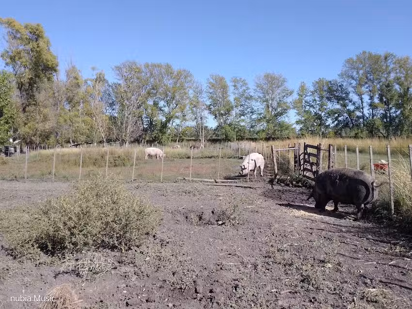 Esfa Cet Nº11 Escuela Secundaria De Formación Agraria