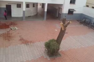 Esrn N 89 Manuel Belgrano