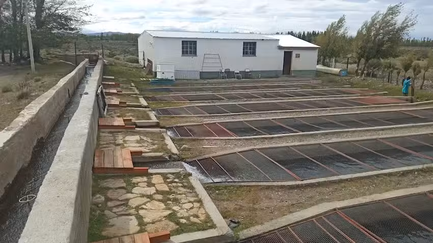 Estación de Piscicultura Esetp N 716 Casimiro Szlápelis