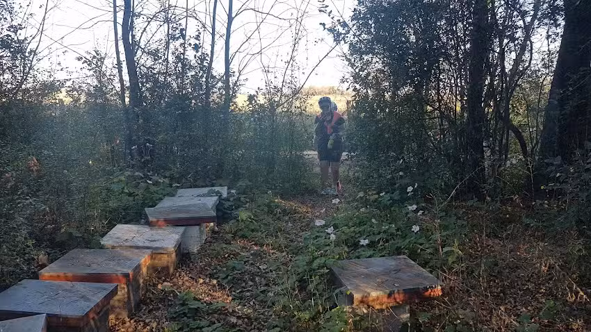 Ex Escuela 8 El Ladrillazo