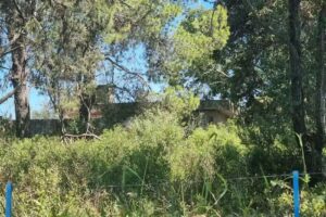 Ex escuela José Manuel Estrada Chacras del Sur