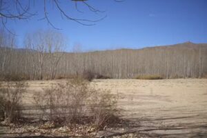 Francisco Javier Muñiz