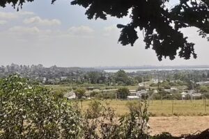 Fundación del Paraná Colegio Plaza Mayor