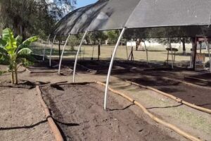 Huerta Escolar La Pluma Infinita