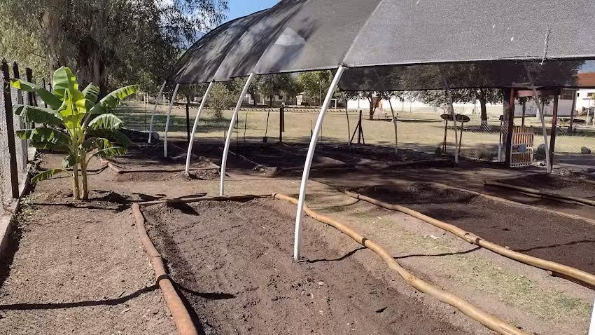 Huerta Escolar La Pluma Infinita