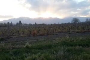 Ies Rosario Vera Peñaloza