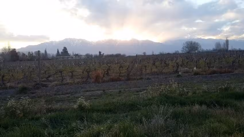 Ies Rosario Vera Peñaloza