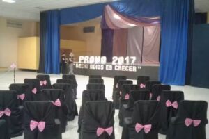 Ipet Nº 85 República de Italia