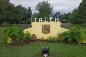 Instituto Agrotécnico Industrial Chazón