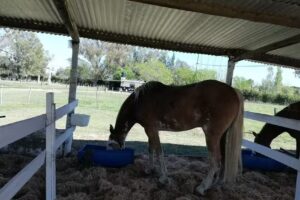 Instituto Agrotecnico San Jose