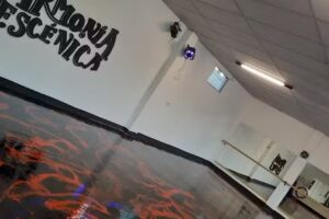 Instituto de Arte Armonía Escénica