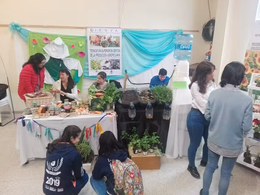 Instituto de Nivel Terciario