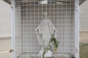 Instituto los Sagrados Corazones