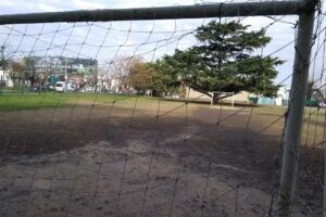 Instituto Madre del Divino Pastor