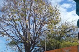 Instituto Nuestra Señora Del Calvario