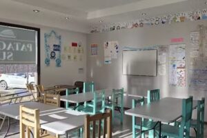 Instituto Patagonia Sur