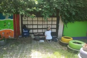 Instituto Platerillo