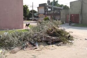 Instituto Privado Nueva Escuela