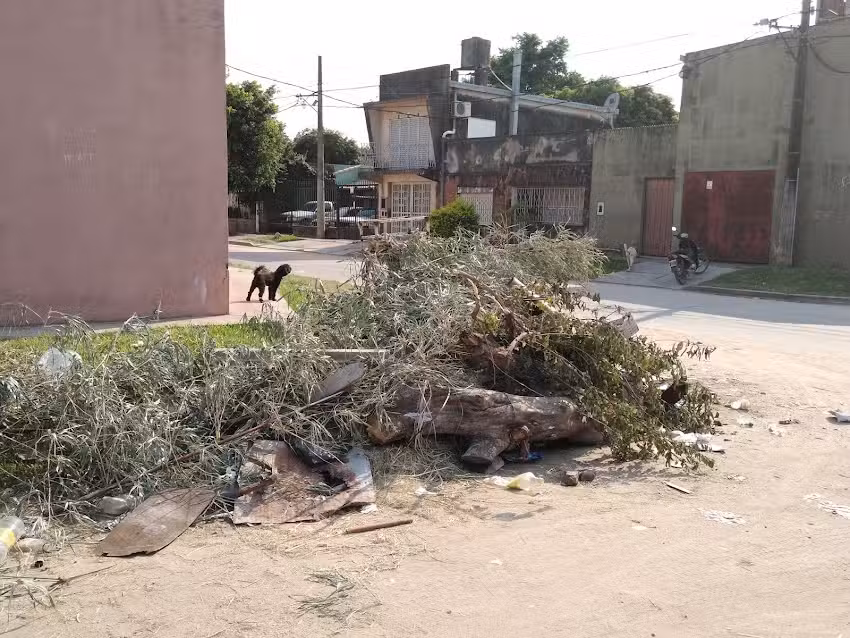 Instituto Privado Nueva Escuela