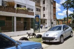 Instituto Pucará de Trujui