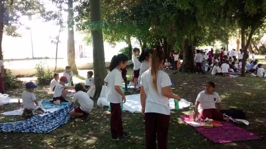 Instituto Rios De Vida