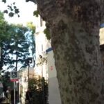 Instituto Sagrada Familia