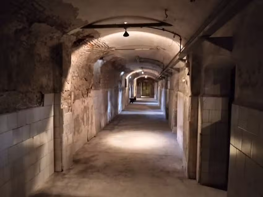 Instituto Santa Felicitas de San Vicente de Paul