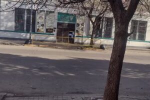 Instituto Vittorino Da Feltre Nivel Inicial