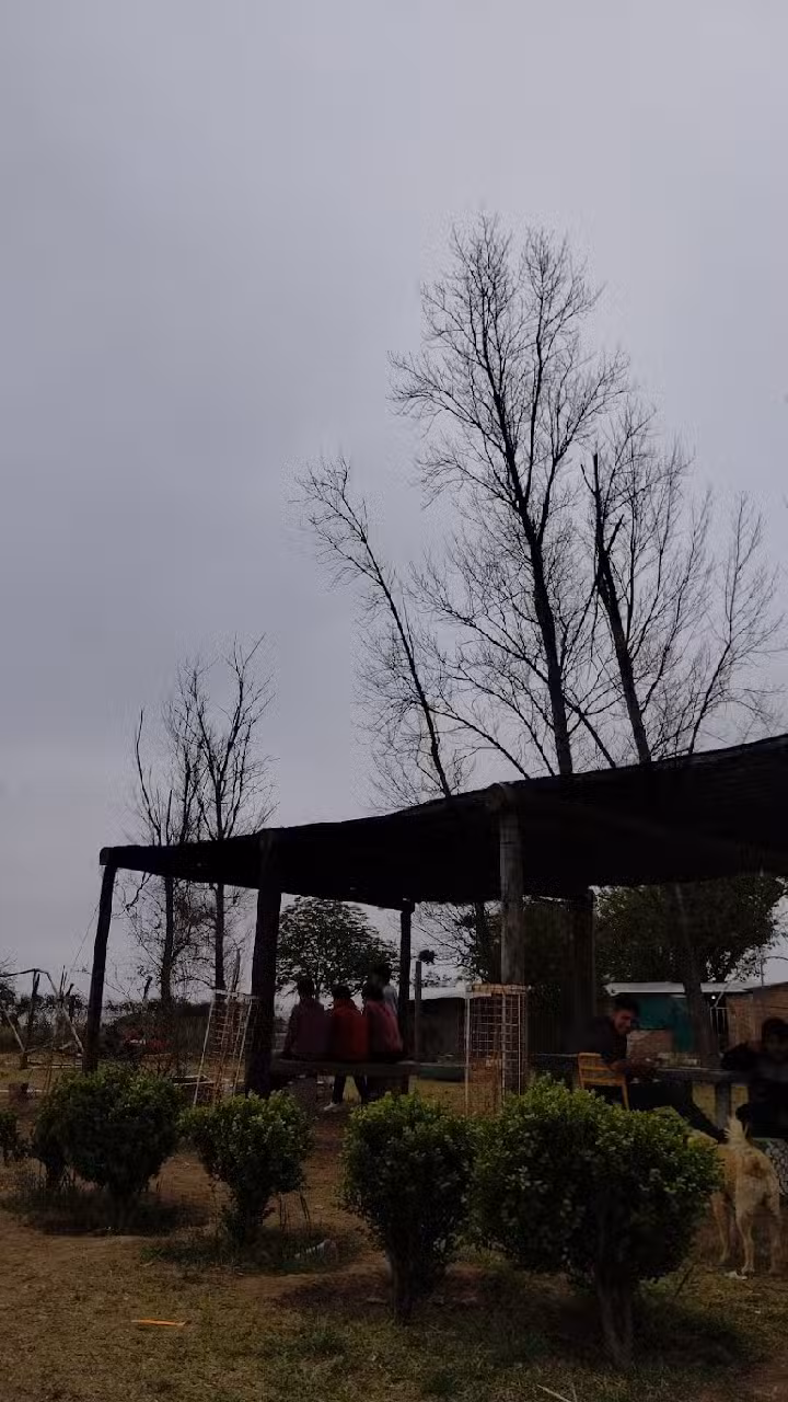 Ipea 229 Miguel Lillo