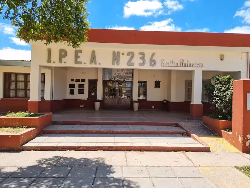 Ipea Nº 236 Emilio Prataviera