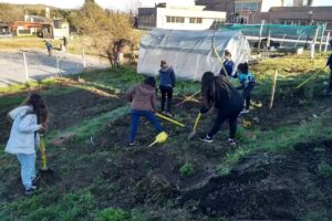 Ipea Y T 347 Dr Alejandro Degenaro